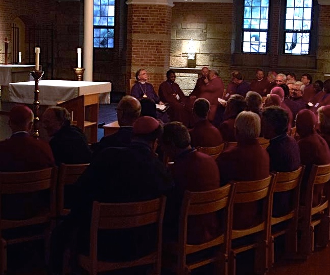 Hard and Honest Work: The 2014 ACNA Conclave
